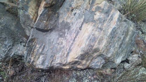 Гигантские зелёные валуны для ландшафтного дизайна весом более 5 тонн купить в Санкт-Петербурге