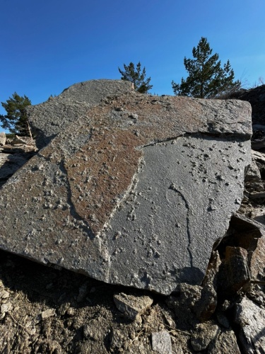 пошаговая дорожка плиты